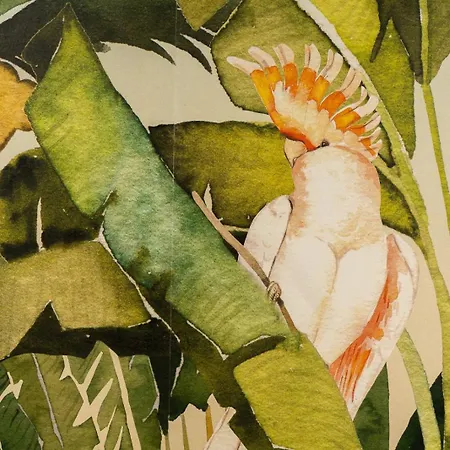 Apartment Safira 201 Funchal (Madeira)