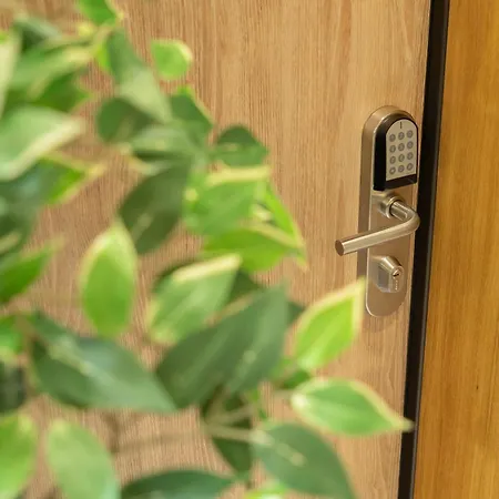 Safira 201 * 丰沙尔